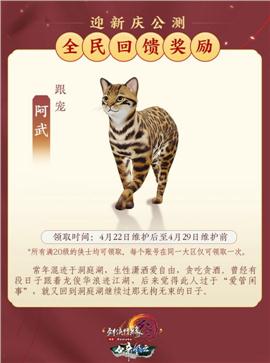 天龙八部私服84